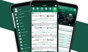 An In-Depth Look at BetWinner Gambling Platform