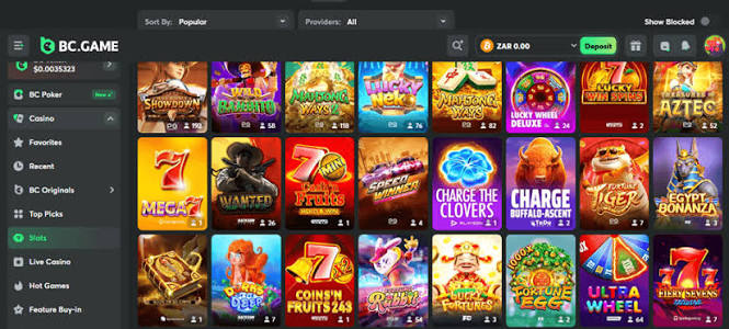 Understanding the BC.Game Login Process Your Gateway to Online Gaming